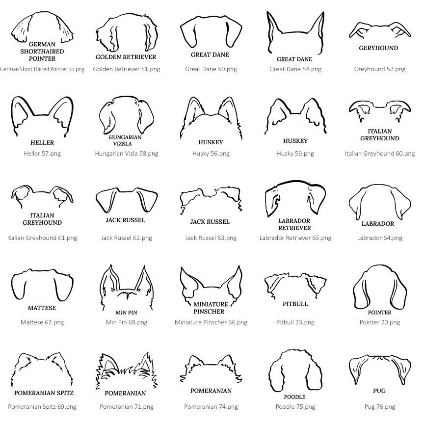 Dog Ears Collar Memorial Frame