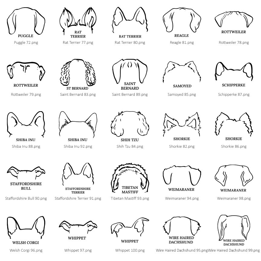 Dog Ears Collar Memorial Frame
